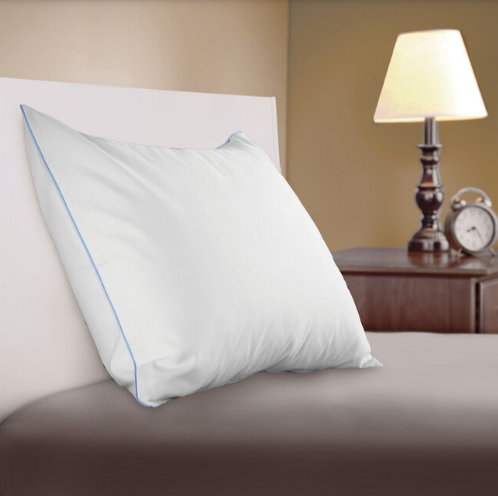 Protect pillows from dust mites