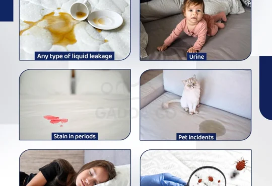 Why are Single Bed Mattress Protectors Becoming the First Love of Parents for Their Kids?