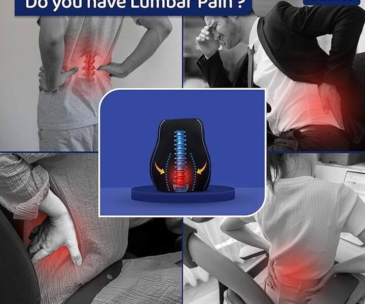 GADDA CO Lumbar Cushion: The Best ₹947 You’ll Spend on Your Spine!